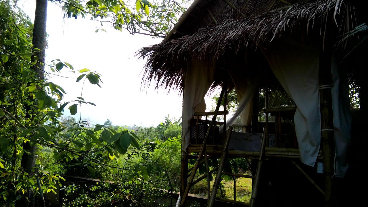 Your Home In Mae Rim Ban Muang Pha Ngoại thất bức ảnh