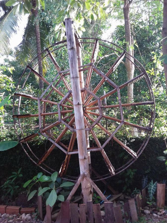 Your Home In Mae Rim Ban Muang Pha Ngoại thất bức ảnh
